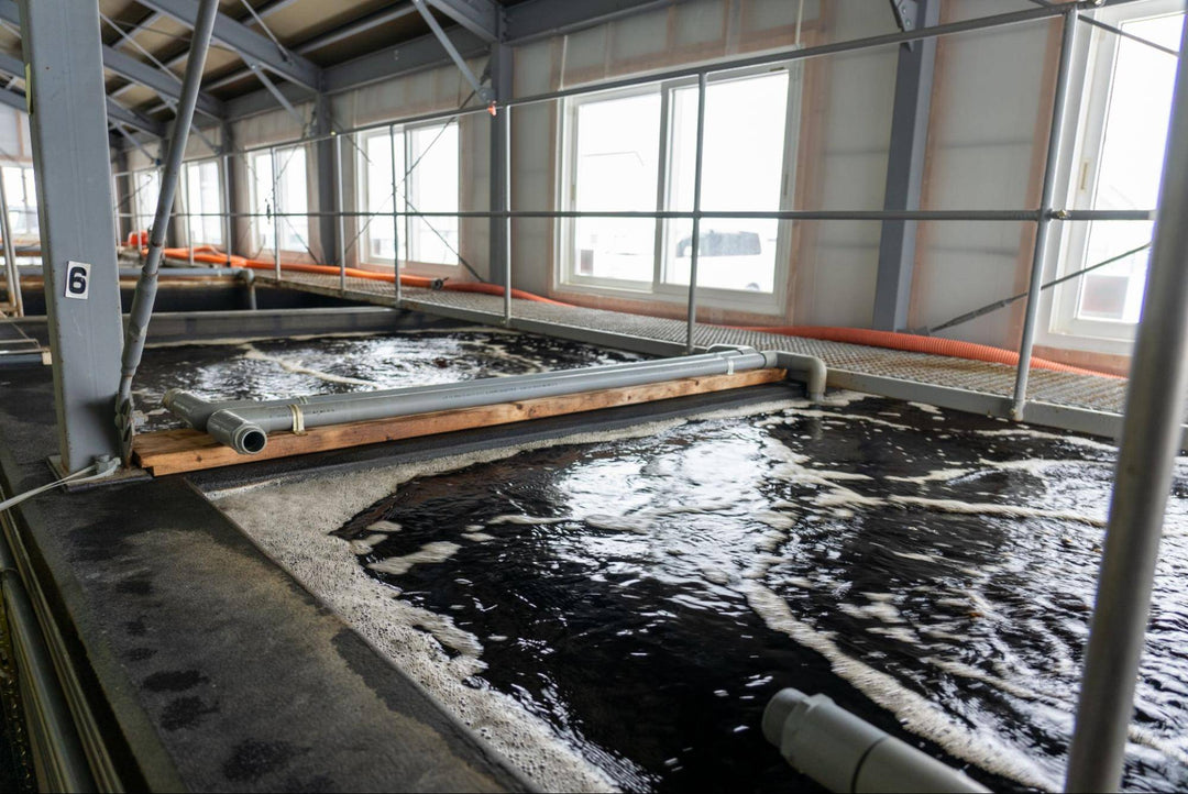 「牛の排泄物が資源に」環境大善のSWITCH STANDARD